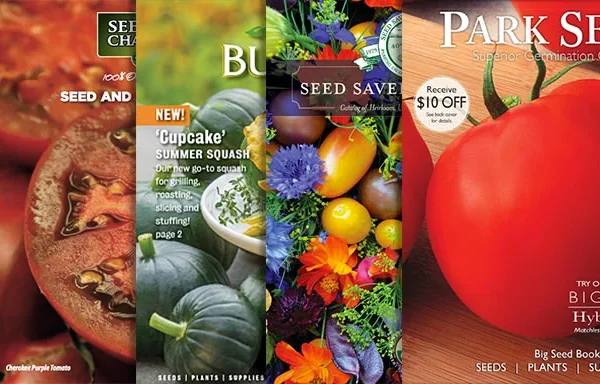 The Top 10 Best Seed Catalogs to Help You Grow the Perfect Garden