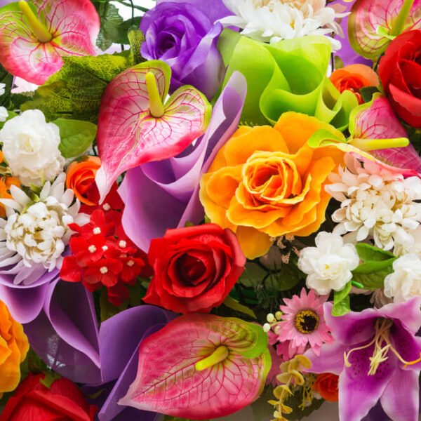10 Flowers That Bloom All Year